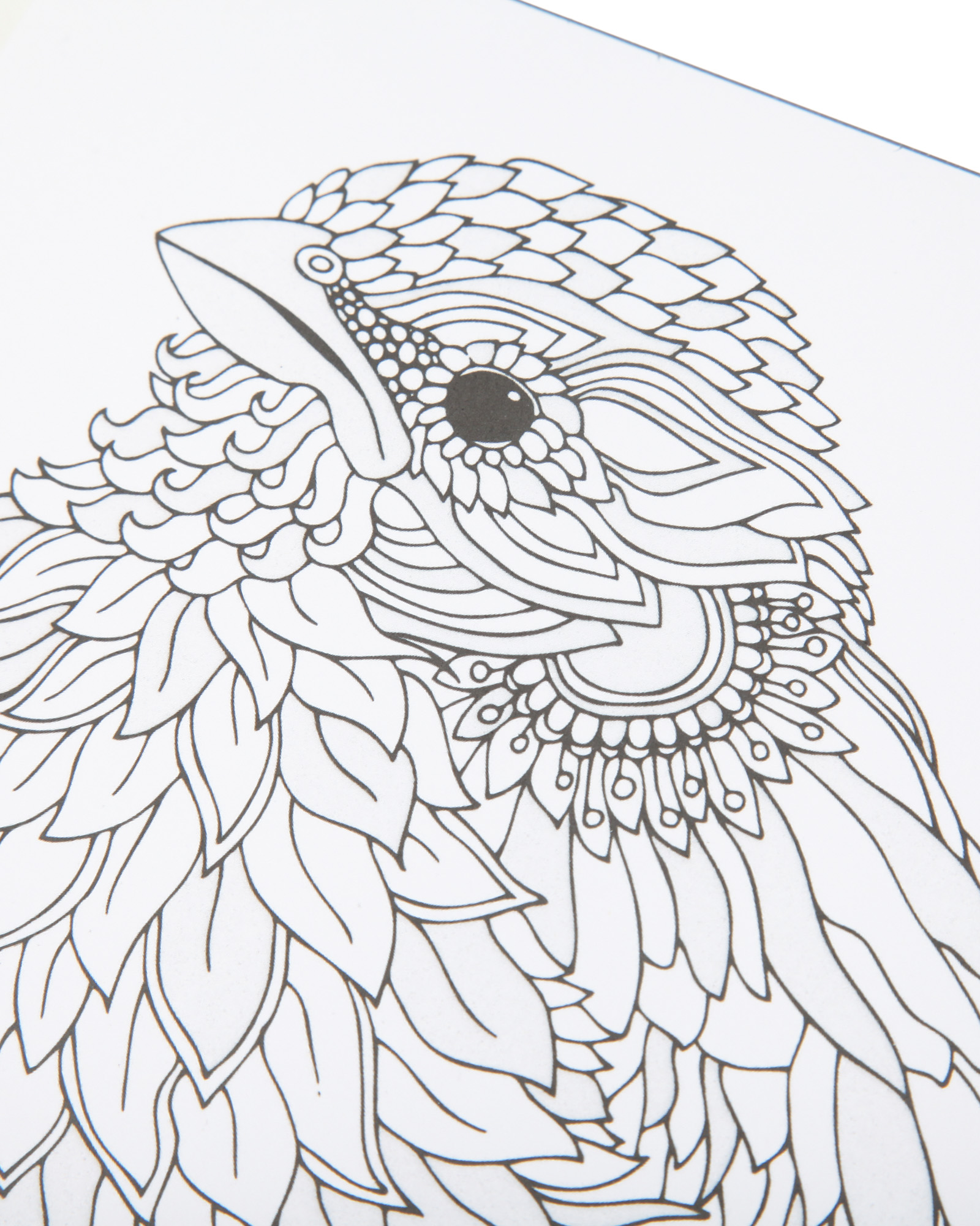 Раскраска Attivio Животный мир антистресс 24 листа - фото 6