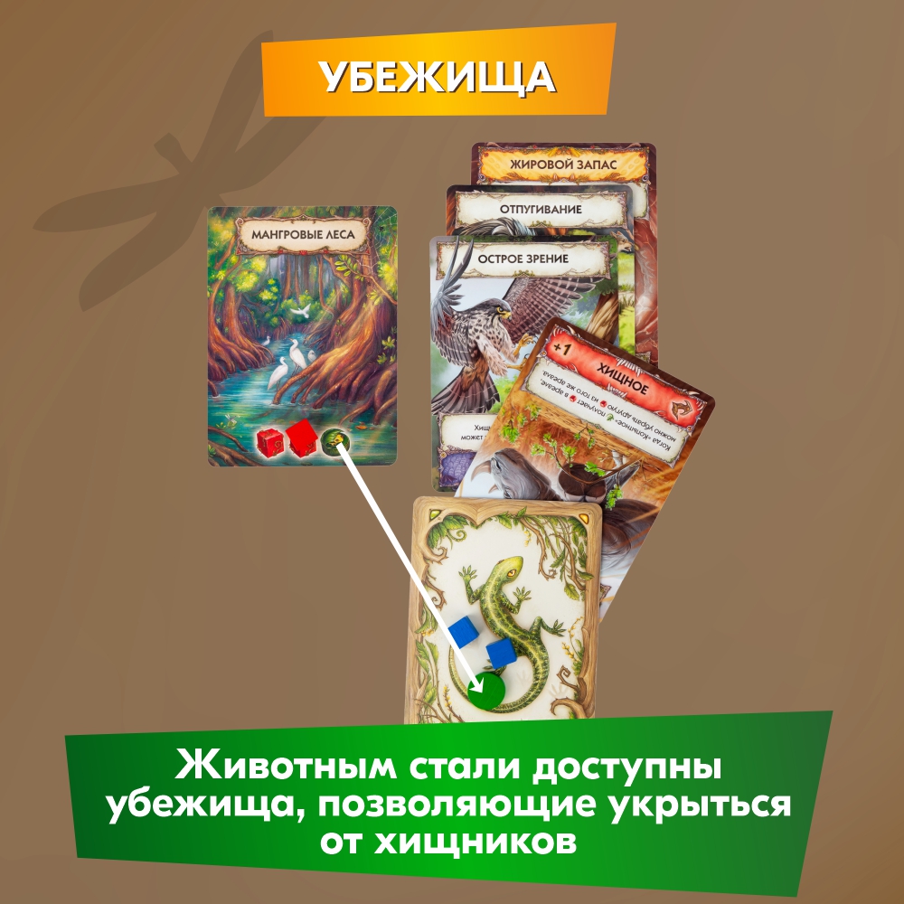 Настольная игра Правильные Игры Эволюция Новый мир - фото 15