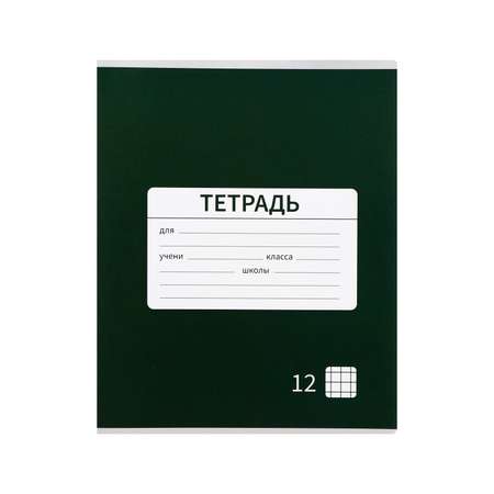 Тетрадь Calligrata клетка