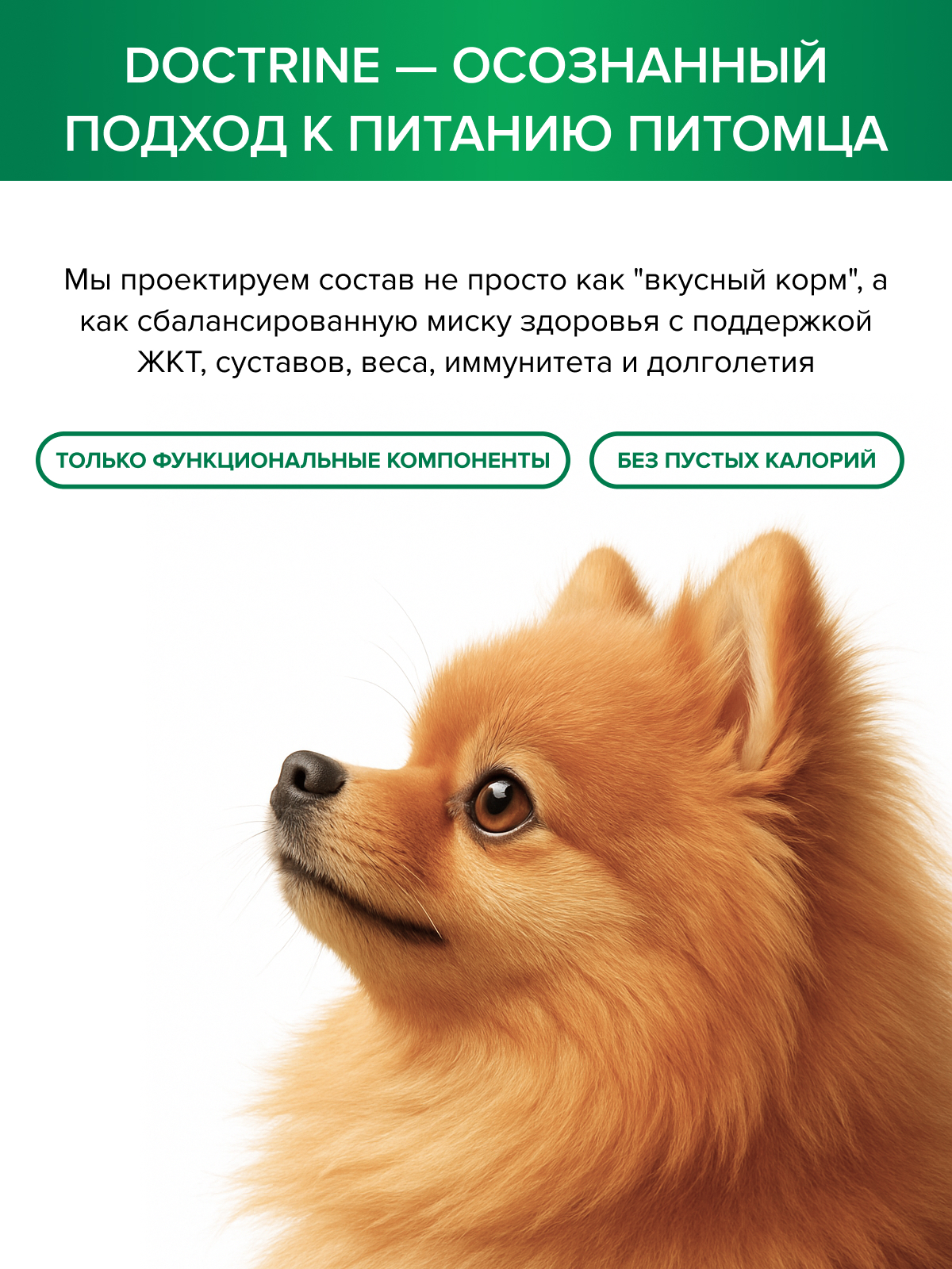 Корм для взрослых собак DOCTRINE сухой мелких пород с телятиной и олениной 3 кг - фото 10