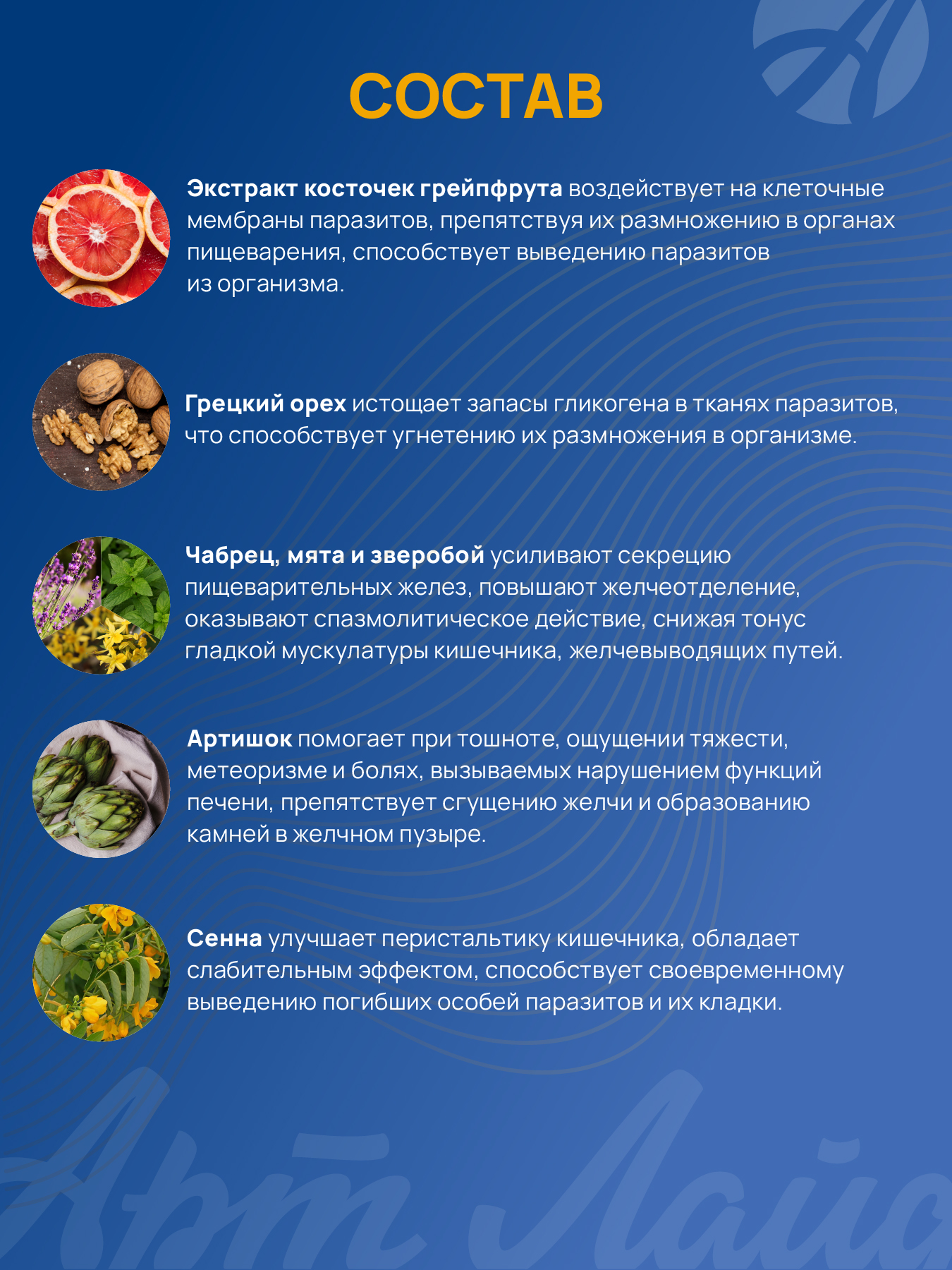 Антипаразитарный комплекс. Арт Лайф Артемизин-М, 90 таблеток. - фото 7