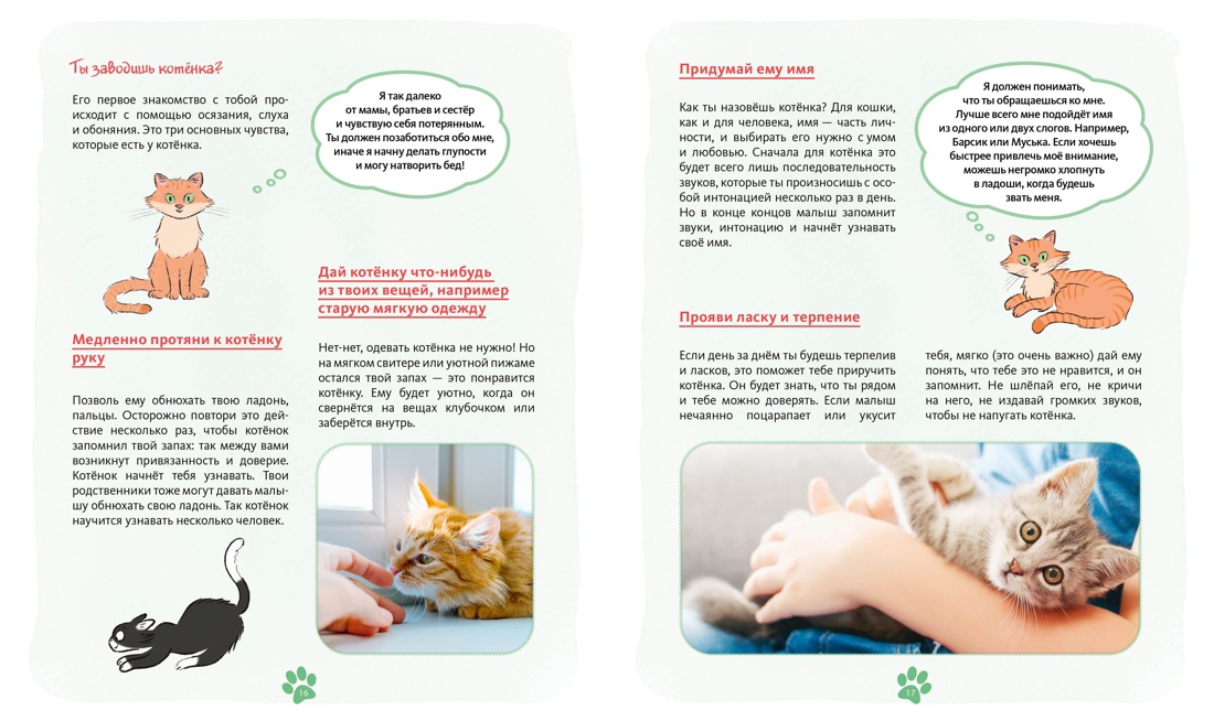 Книга Махаон Журно А. Я и моя кошка. Как понять питомца и стать ему другом - фото 7