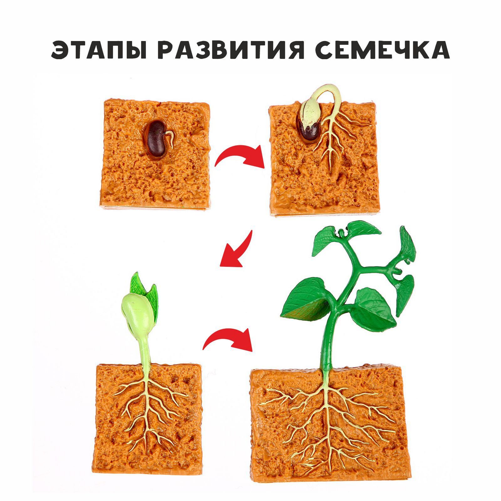 Наглядное пособие Sima-Land - фото 1