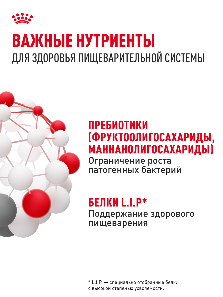 Корм для собак Royal Canin 12кг Medium Digestive Care cредних сухой - фото 6