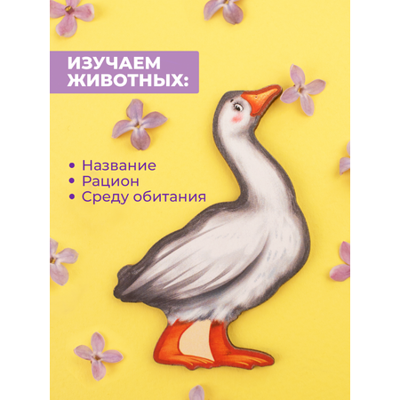 Настольная игра Raduga Kids