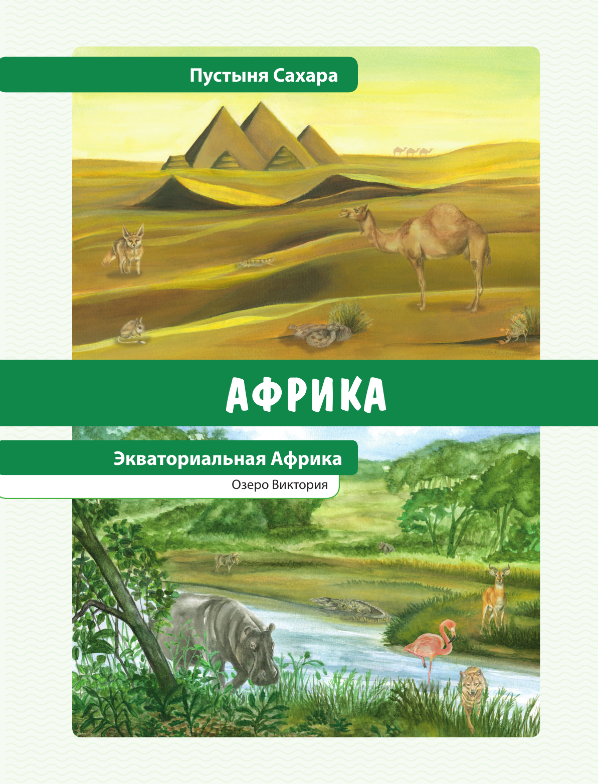 Книга Эксмо Животные Большая экспедиция вокруг света - фото 12