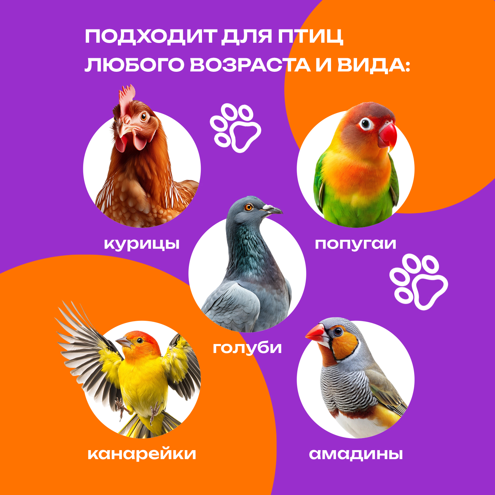 Средство от клещей блох и пероедов PETPOWER для попугаев 500 мл - фото 4