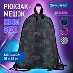 Мешок для обуви Brauberg