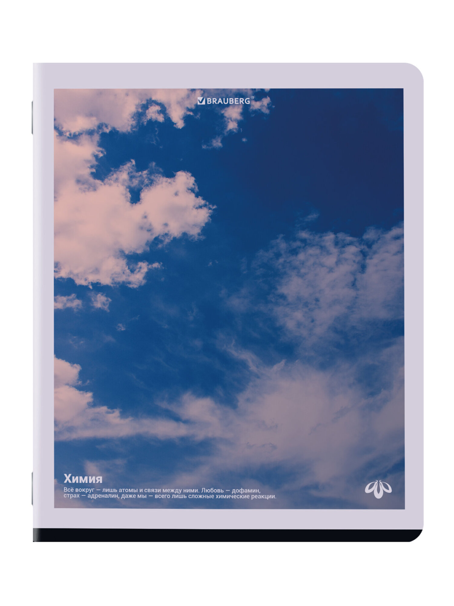 Тетрадь Brauberg 48 лист. 12 шт. - фото 18