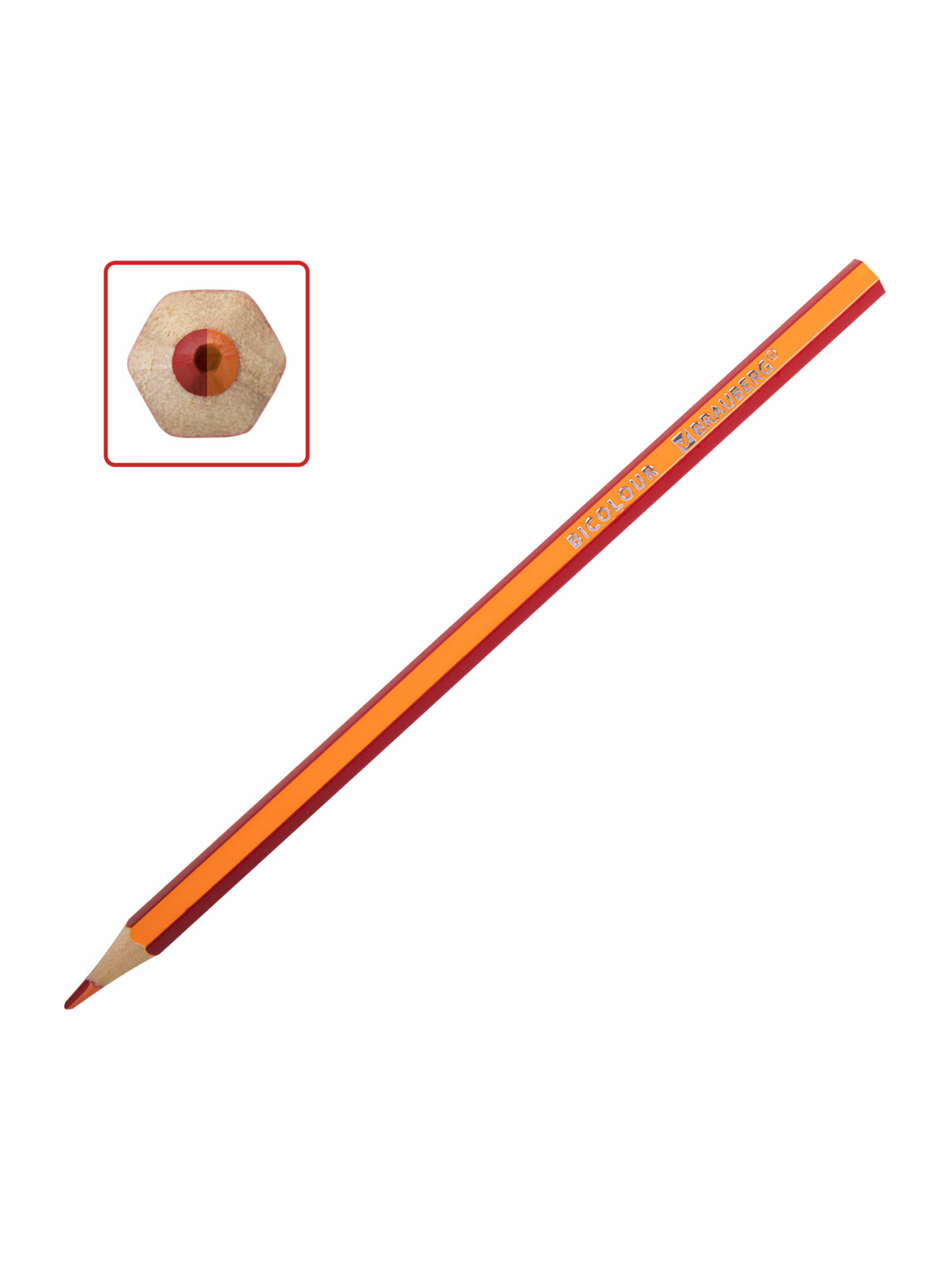 Карандаши цветные Brauberg 24 шт. - фото 11