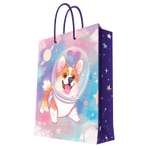 Пакет Феникс Презент Космонавт 17.8*22.9*9.8см