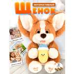 Мягкая игрушка SHARKTOYS Щенок корги
