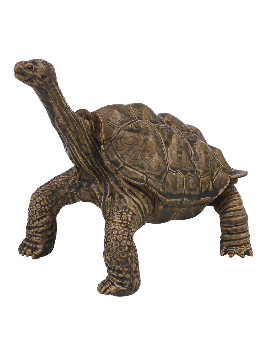 Игровой набор Masai Mara Черепаха - фото 4