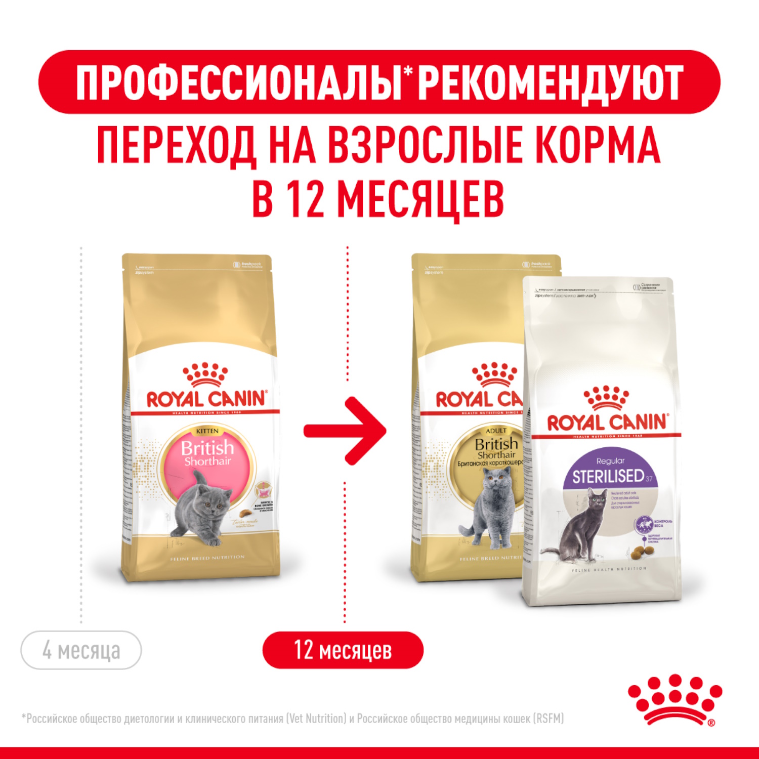 Корм сухой для котят ROYAL CANIN British Shorthair 400г породы британской короткошерстной - фото 6