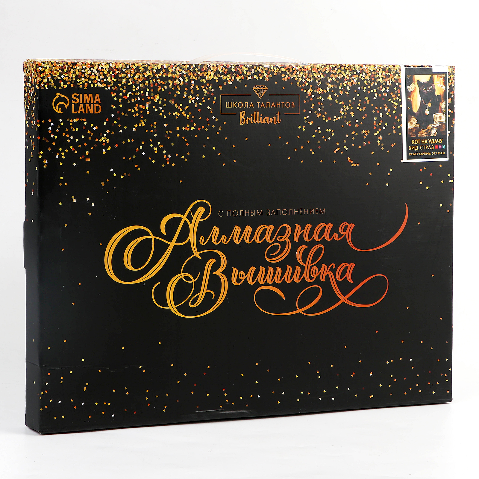 Алмазная мозаика Школа Талантов - фото 5