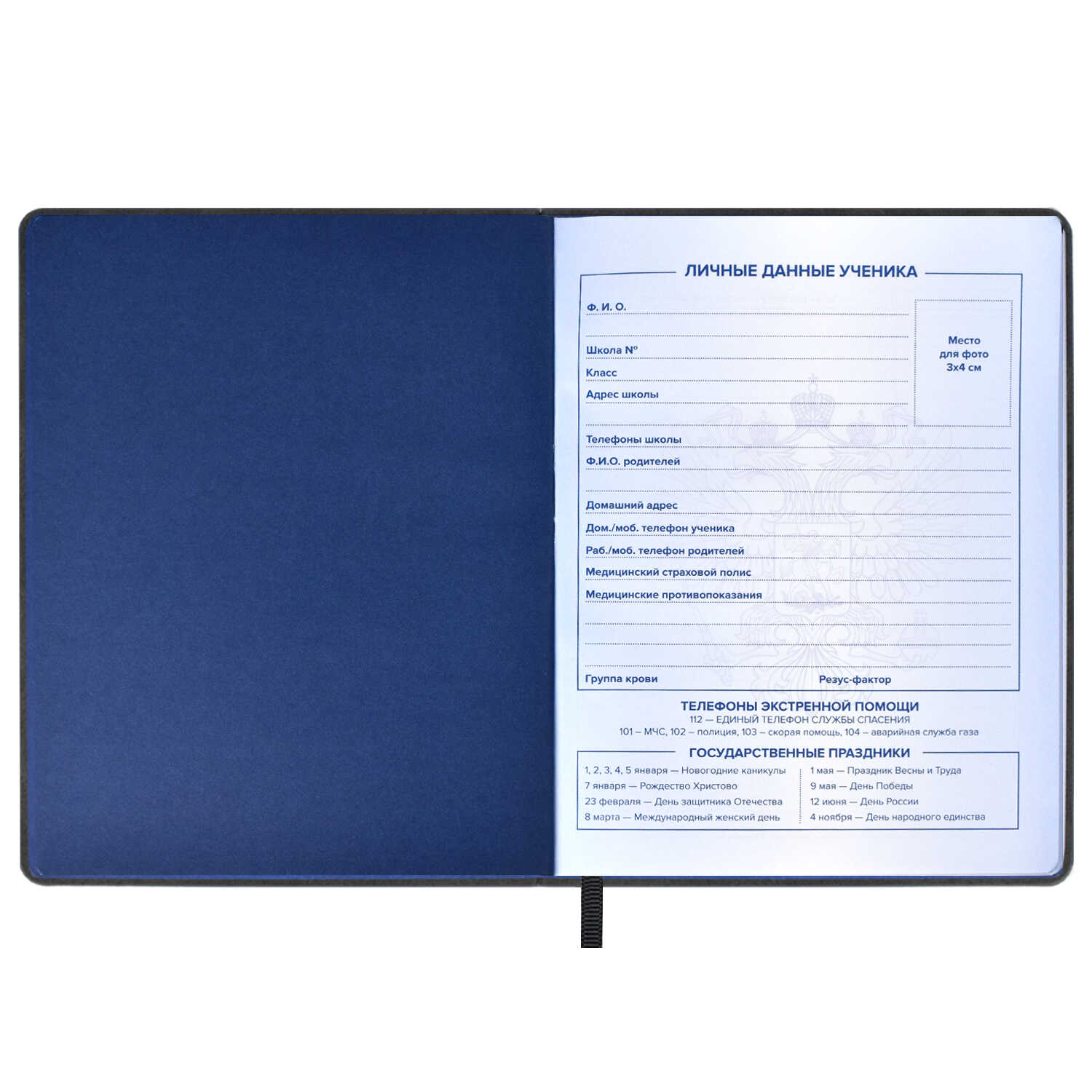 Дневник школьный Феникс + Дневник российского школьника2 - фото 3