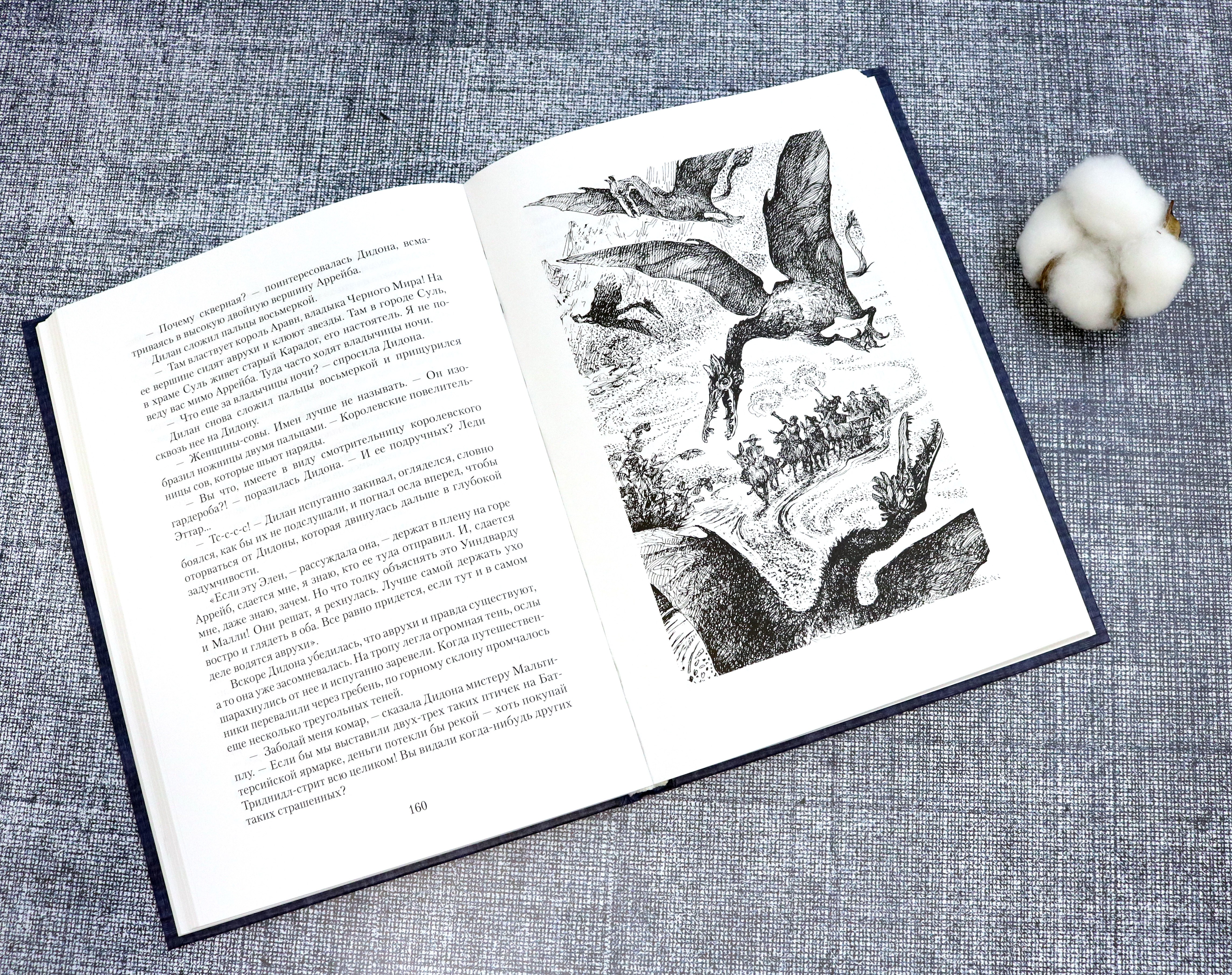 Книга Качели Краденое озеро - фото 4