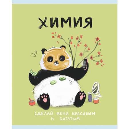 Тетрадь Listoff 48 лист. (Химия)