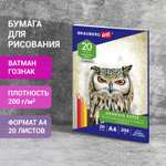 Художественная бумага Brauberg для графики 20 лист.