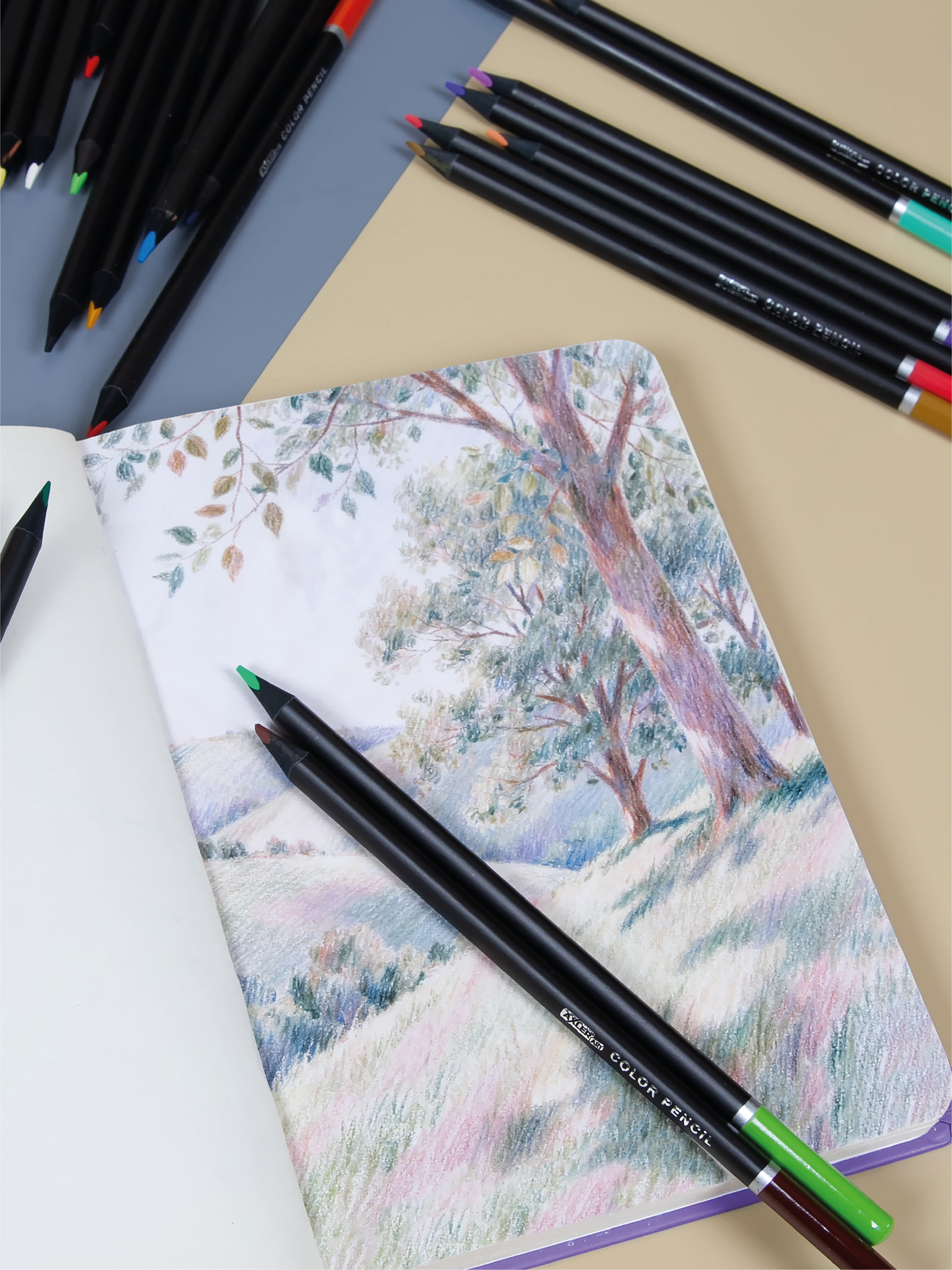 Карандаши цветные AXLER 24 шт. - фото 12