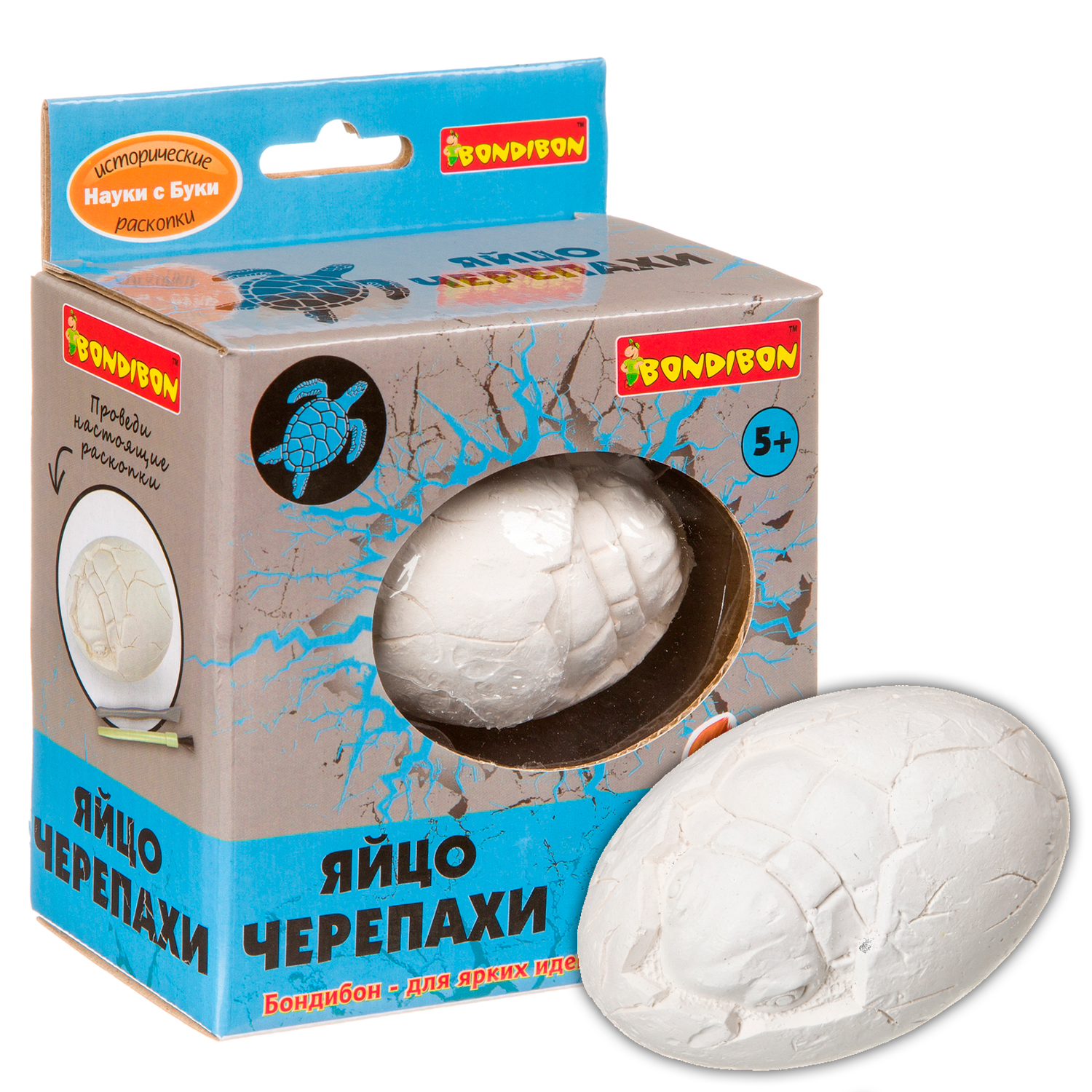 Набор для раскопок Bondibon палеонтология: Яйцо черепахи - фото 1