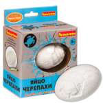 Набор для раскопок Bondibon палеонтология: Яйцо черепахи