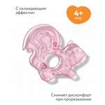 Прорезыватель BabyGo Белка