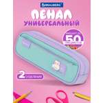 Пенал футляр Brauberg