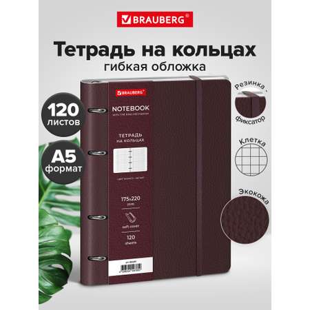 Тетрадь со сменным блоком Brauberg клетка 120 лист.
