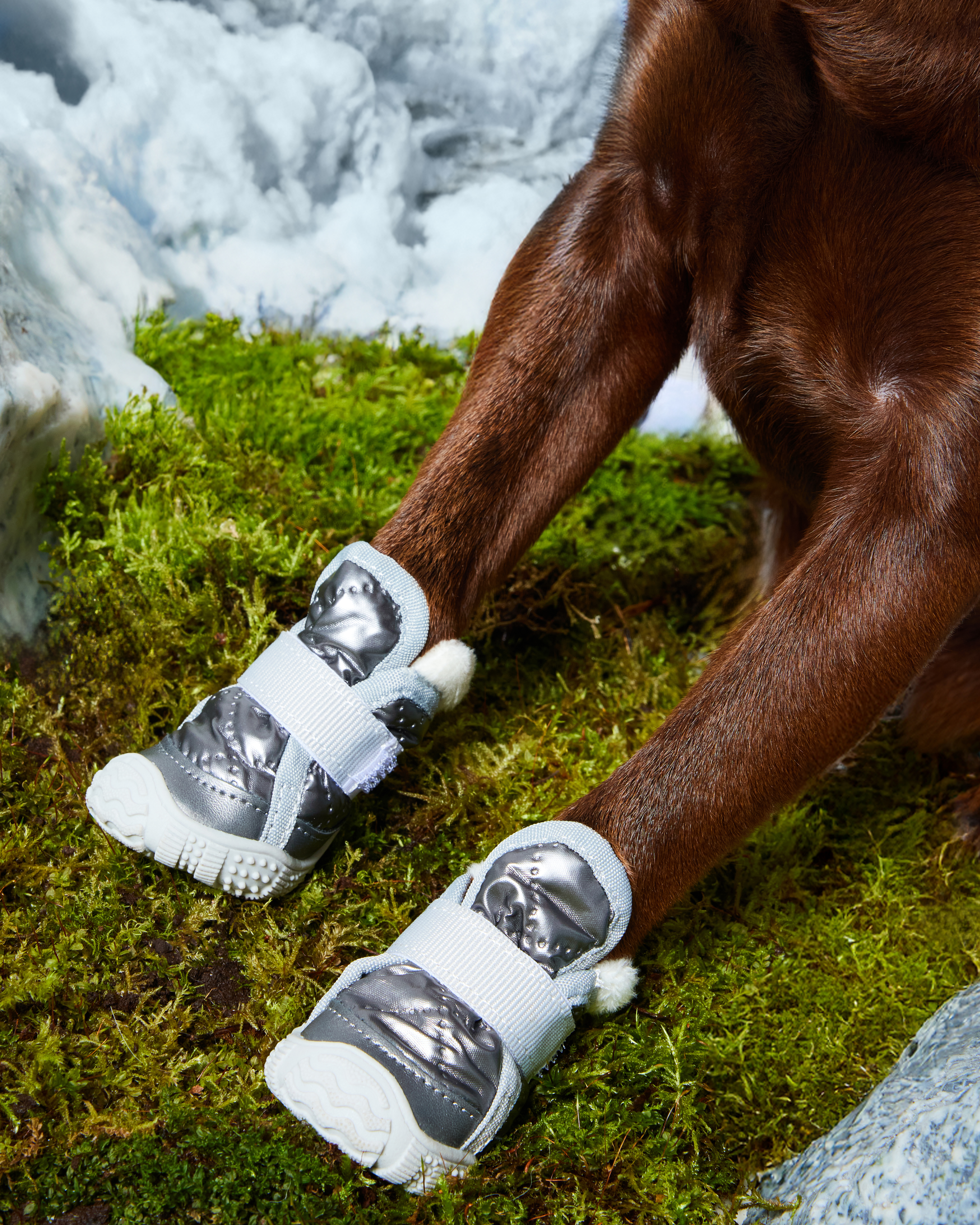 Ботинки для собак Зоозавр 4 шт - фото 8