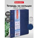 Тетрадь со сменным блоком Brauberg клетка 120 лист.