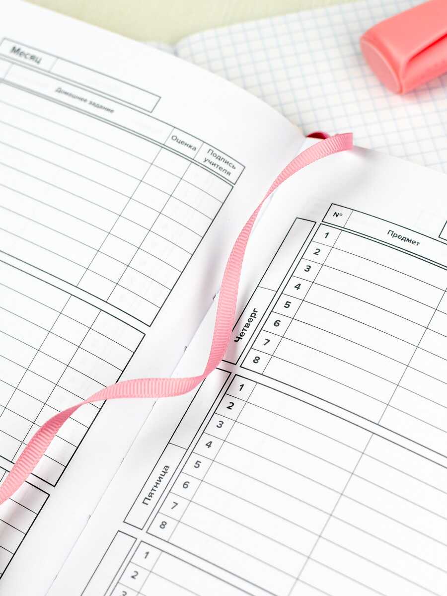 Дневник школьный Феникс + Девочка с котиком - фото 7