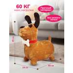 Прыгун Altacto Спорт