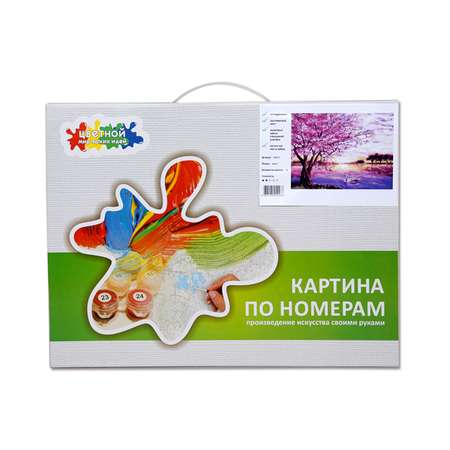 Картина по номерам Цветной