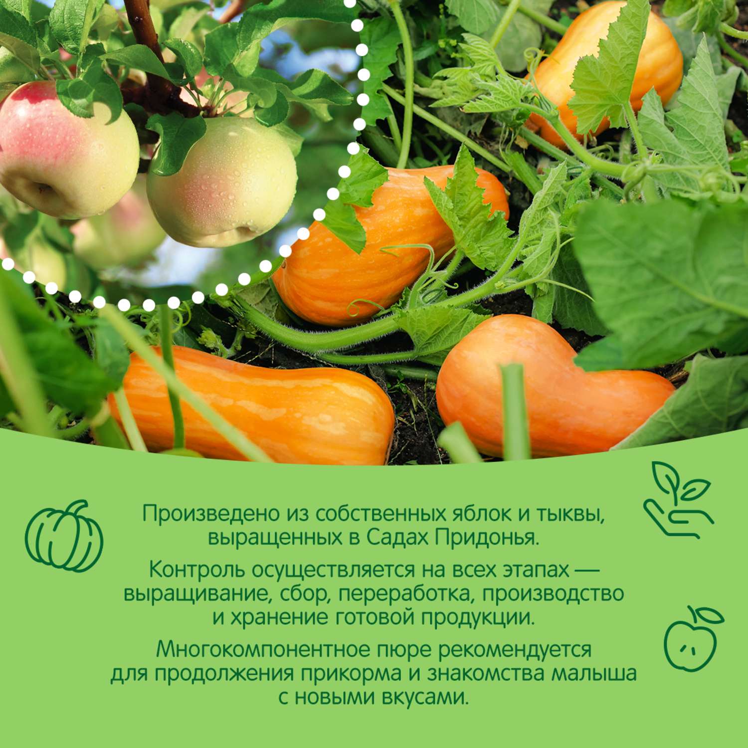 Пюре Сады Придонья яблоко-тыква 125г с 5месяцев - фото 4