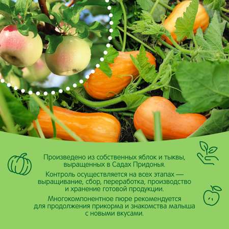 Пюре Сады Придонья яблоко-тыква 125г с 5месяцев