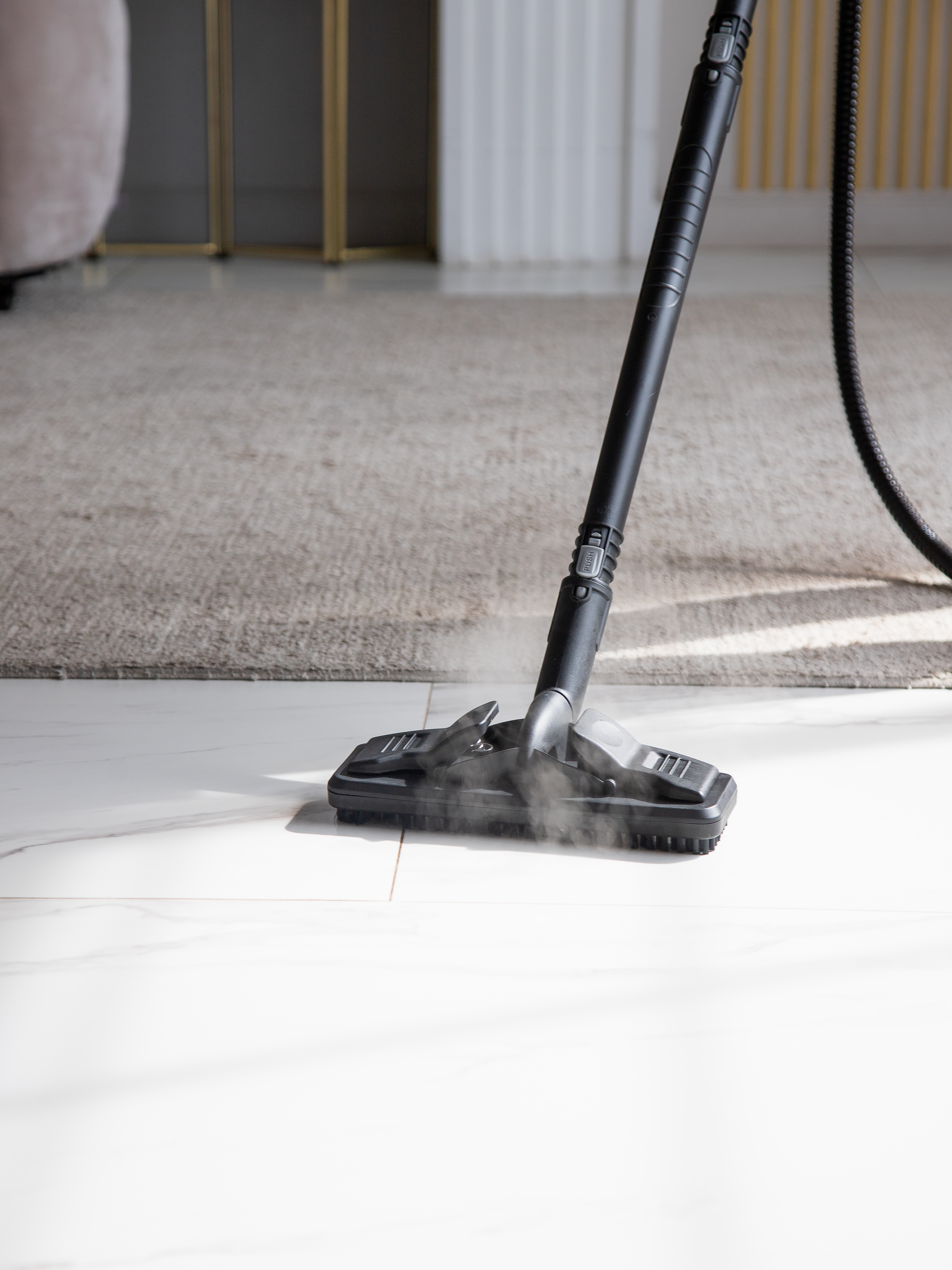 20-в-1 steam cleaner plus Ramicom RSC2000 - фото 33