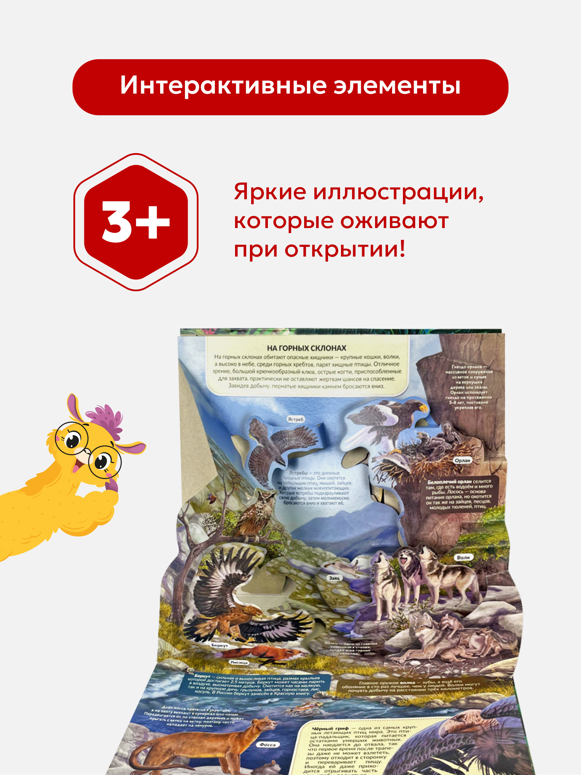 Энциклопедия с объемными картинками Malamalama Животные Хищники - фото 4