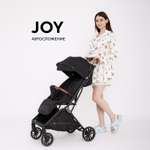 Коляска прогулочная Rant Basic Joy черный