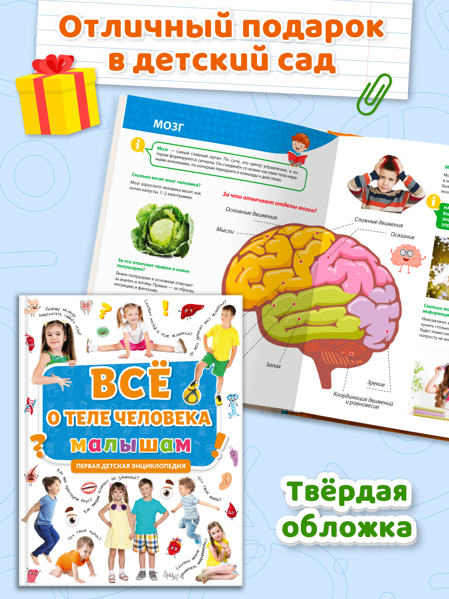 Книга Проф-Пресс Первая детская энциклопедия Всё о теле человека малышам - фото 4