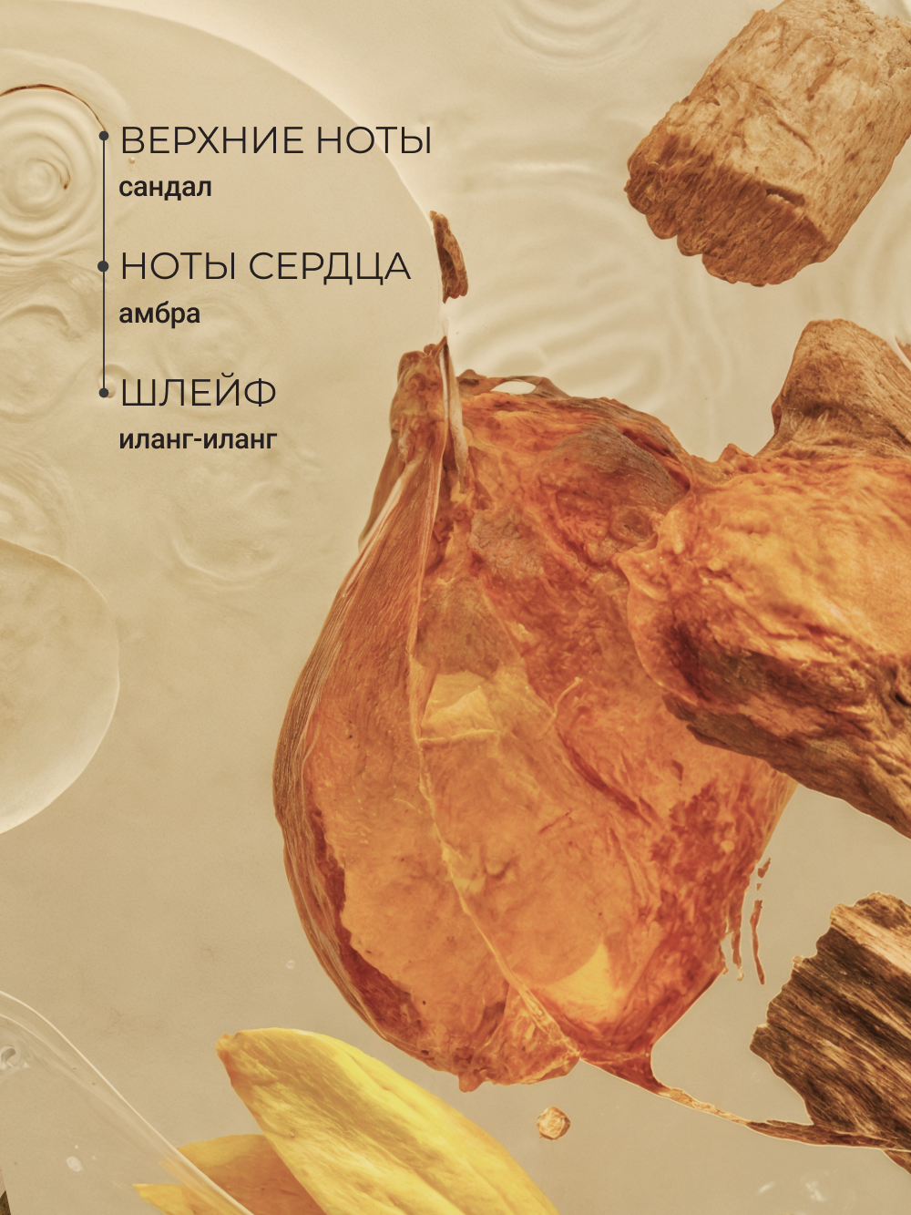 Молочко Zeitun Ирис и Амбра 250 мл - фото 4