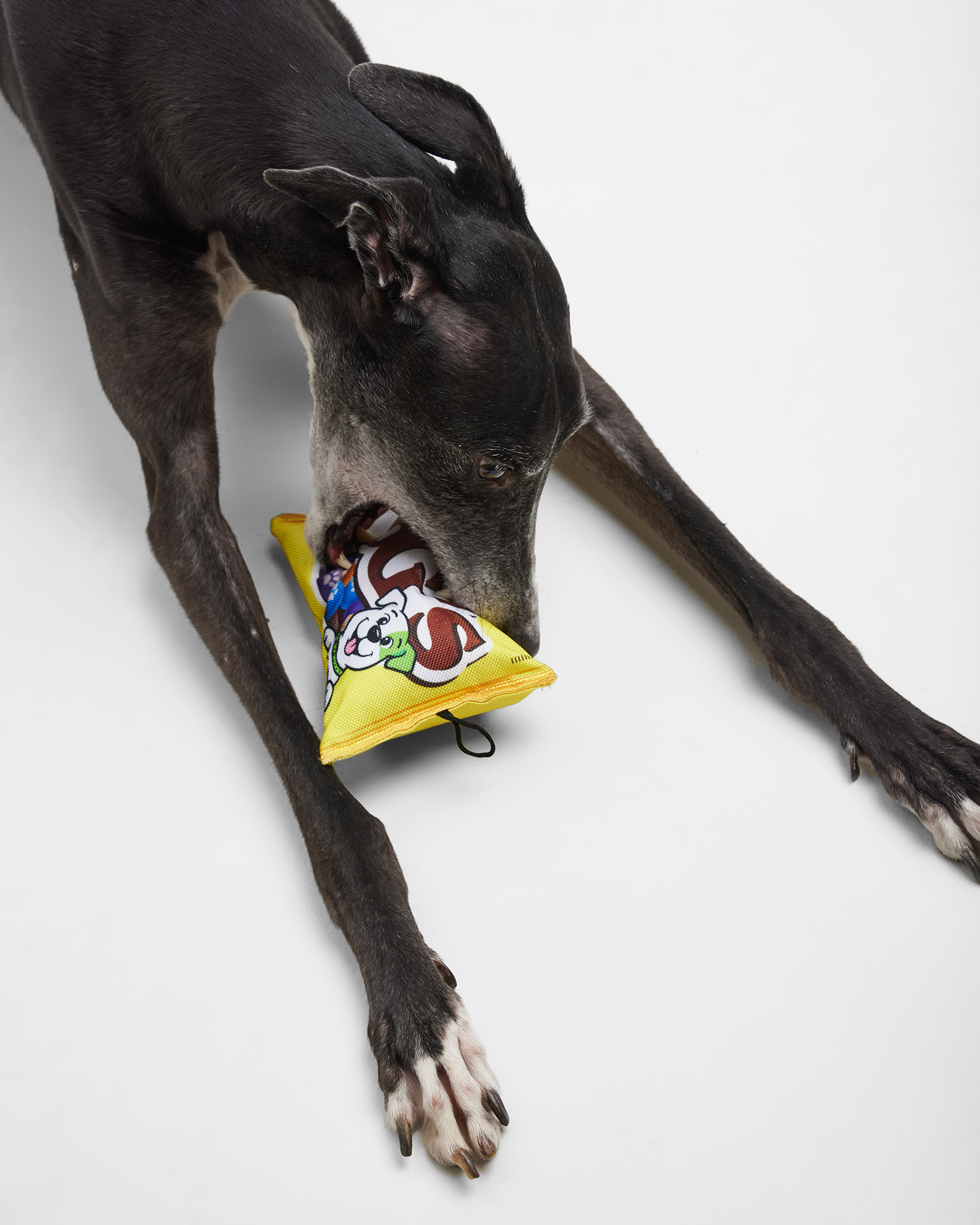 Игрушка для собак Barbaks Пачка вкусняшек шуршит 21.5*13см - фото 6