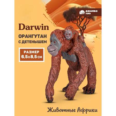 Фигурка DARWIN Животные Африки Орангутан