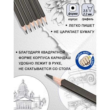 Графит ACMELIAE 12 шт.