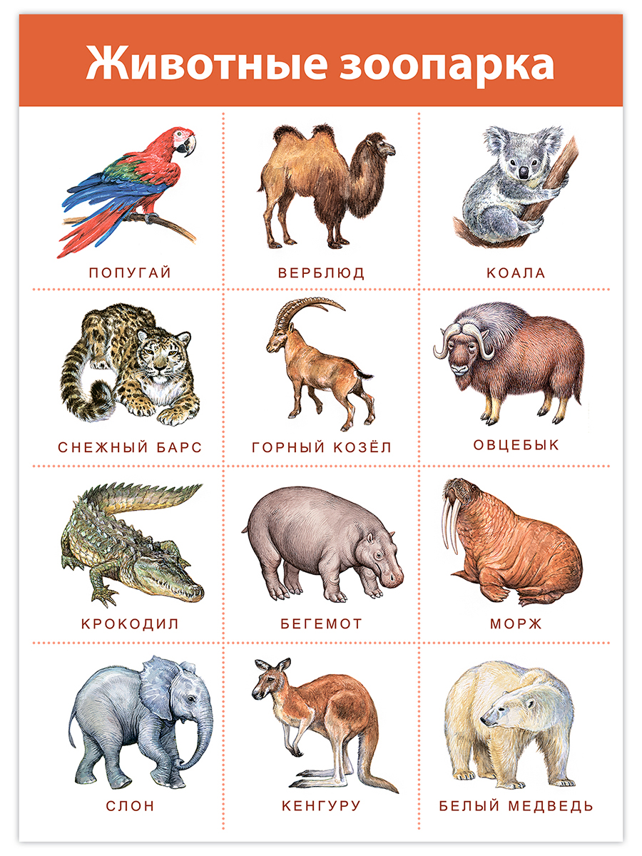 Настольная игра Дрофа-Медиа - фото 7