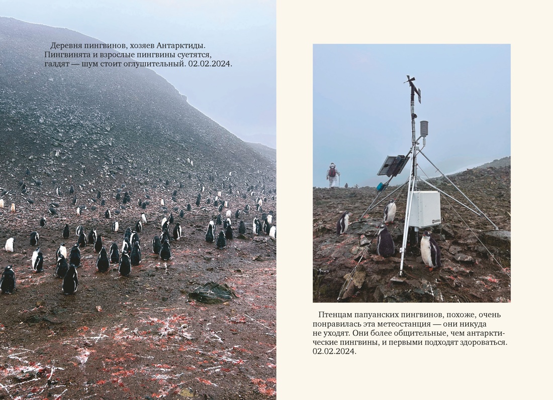 Книга АЗБУКА Бестселлеры NF Гымхи Ким Мой полярный дневник - фото 20