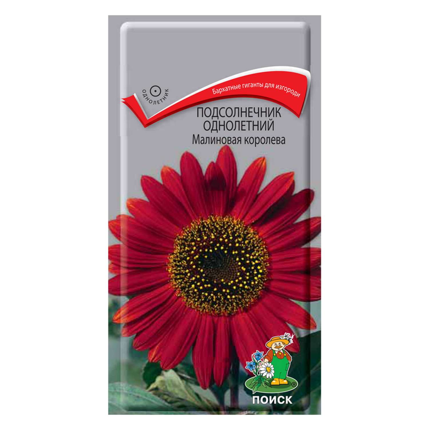 Подсолнечник . однолетний Малиновая королева 0.5г - фото 1