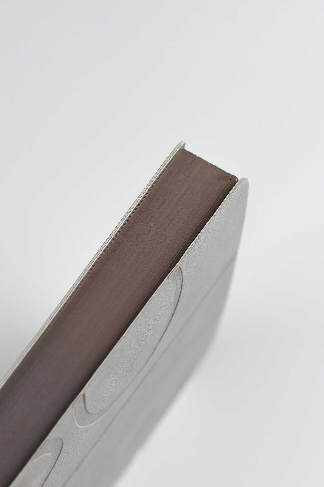 Ежедневник Феникс + ESCALADA 176 лист. - фото 6