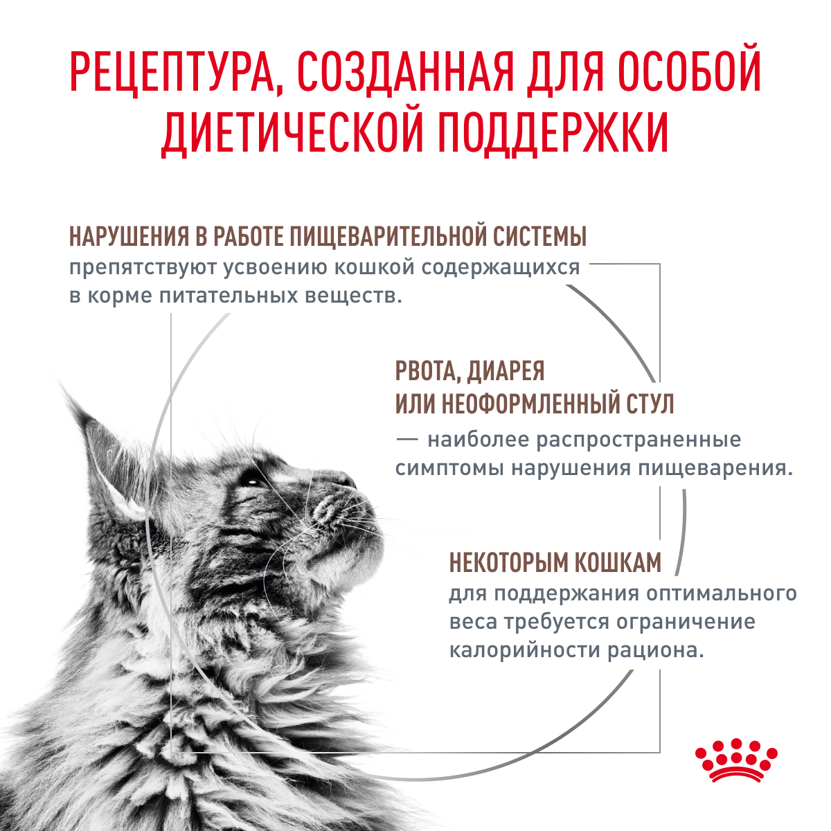Корм для кошек ROYAL CANIN Veterinary Diet Gastrointestinal Moderate Calorie GIM 35 Feline при расстройствах пищеварения 2кг - фото 3