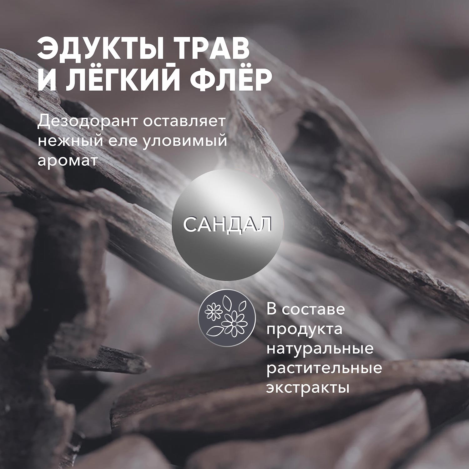 Дезодорант сандал E-RASY антиперспирант - фото 4